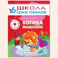 ШСГ от 6 до 7 лет Логика,мышление
